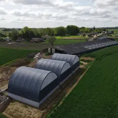 Tre tunnel stalla grigi, moderni, affiancati in un campo verde, con un grande edificio agricolo sullo sfondo.