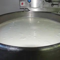 Grande vasca in acciaio inox piena di latte, pronta per la produzione casearia. Si intravede un sensore di temperatura.
