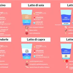 Confronto nutrizionale tra diversi tipi di latte: vaccino, soia, riso, mandorle, capra e avena. Ogni etichetta latte evidenzia calorie, vitamine, minerali e caratteristiche.