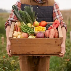 Contadino con cesto di verdure fresche, mele e patate. Un tripudio di prodotti a km zero appena raccolti, pronti per la tavola.
