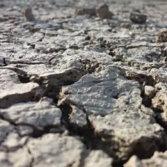 Terreno arido e crepato, un esempio di suolo che necessita di tecniche per come abbassare la salinità del terreno e renderlo fertile.