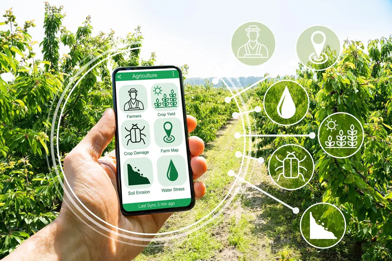 Un contadino usa uno smartphone per monitorare l'agricoltura 4.0, con icone per resa, danni, mappa e salute del suolo.