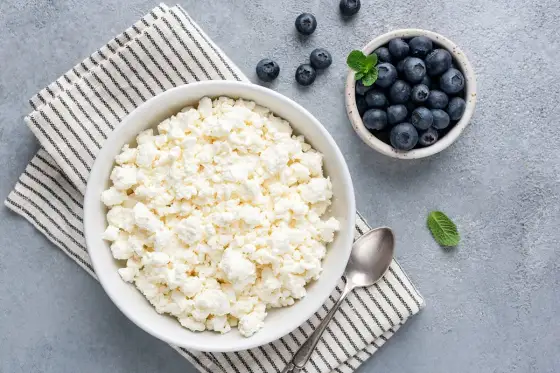 Ricotta di capra - Valori nutrizionali e calorie: è davvero leggera?