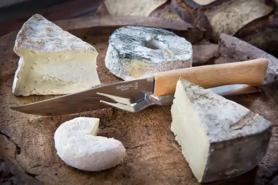 Formaggi a pasta molle - Guida completa per sceglierli e usarli